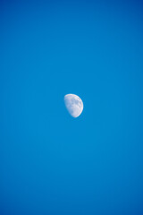 Half moon in daytime sky