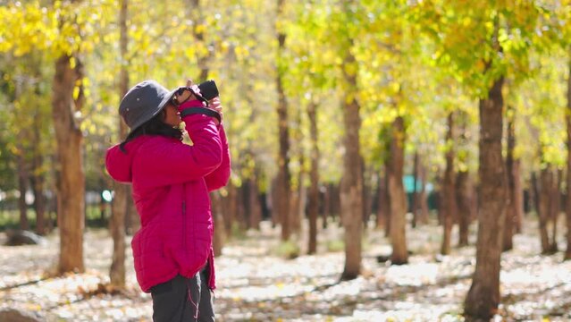 Portrait of young woman taking photos on camera in autumn forest at Sissu, Himachal Pradesh, India. Smiling photographer shooting landscape in woods during hike
