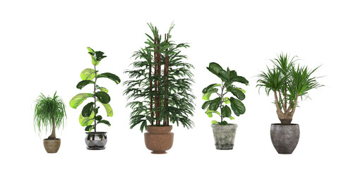 Collection of plants in ceramic pots isolated on transparent background. 3D rendering. PNG