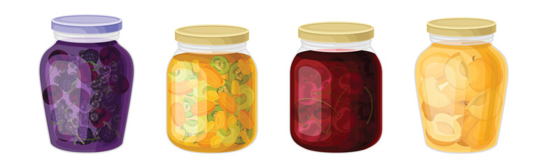 Preserved Food in Closed Glass Jars Vector Set
