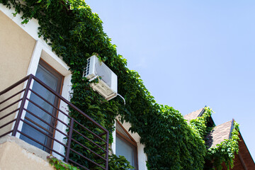 Air conditioner installed on the exterior wall near window, plants growing on facade.