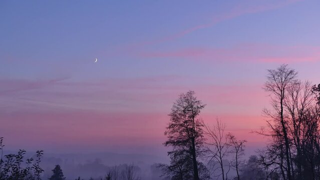 Evening view with blue sky and slowly moving pink clouds after sunset, crescent moon, and horizon with black trees and evening mist in autumn season.