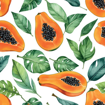 Hand drawn watercolor papaya painting on white background. Fruit vector illustration. Pattern watercolor fruit.