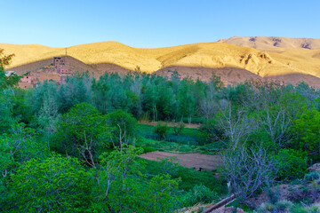 Dades Gorge landscape, High Atlas Mountains