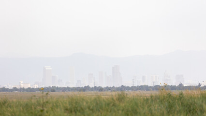 Fototapeta na wymiar View of Downtown Denver from Rocky Mountain National Arsenal Wildlife Refuge