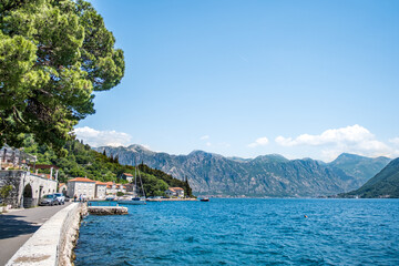 Kotor