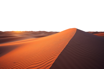 yellow sand dunes in the desert landscape. transparent isolated PNG file. 