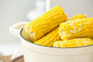Cooking pot with boiled corn cobs on white background, closeup