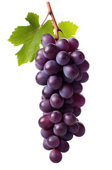Fototapeta premium Grapes with green leaf healthy eating, isolated on transparent background, PNG cutout ready for agricultural visualisation