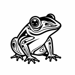 Naklejka premium Toad frog amphibian frog rapuha swamp river village Forest