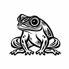 Toad frog amphibian frog rapuha swamp river village Forest