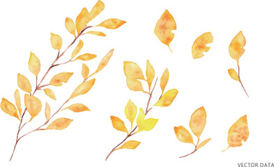 水彩画。水彩タッチの秋の紅葉ベクターイラスト。秋の葉っぱナチュラル背景。Watercolor painting. Autumn leaves vector illustration with watercolor touch. Autumn leaves natural background.
