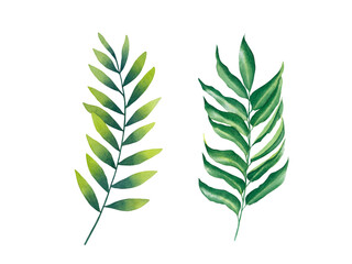 Set of green leaves isolated on transparent background. Watercolor illustration hand drawn. Design element. For cards, wedding invitations, mother's day, birthday, valentine's day, March 8, easter.