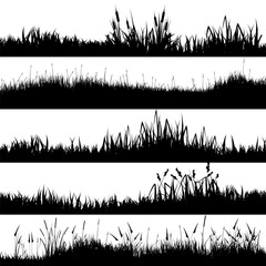 Fototapeta premium Meadow silhouettes with grass, plants on plain. Panoramic summer lawn landscape with herbs, various weeds. Herbal border, frame element. Black horizontal banners. Vector illustration