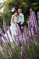 portrait of the bride and groom in the park, the bride and groom are hugging and tenderly kissing. A lavender bush in the foreground. Wedding walk in the park. Long train of the dress