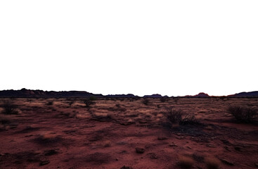 desert landscape. transparent isolated PNG file. 