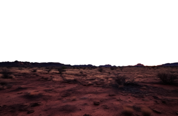 desert landscape. transparent isolated PNG file. 