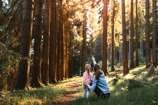 Mother child bonding in autumn forest, enjoying wildlife learning about nature