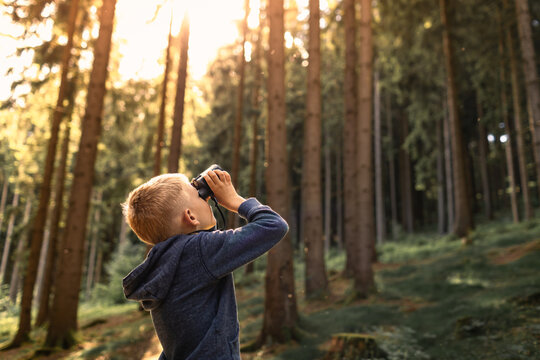 Child in the forest looking through binoculars exploring nature and wildlife 