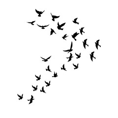 Plakat silhouette group of flying birds