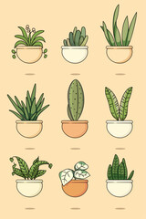 Plants hanging in ceramic pot collection