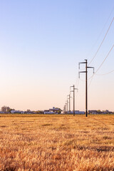 sown field and light poles wallpapers 