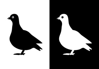 Black and white pigeons on a black and white background