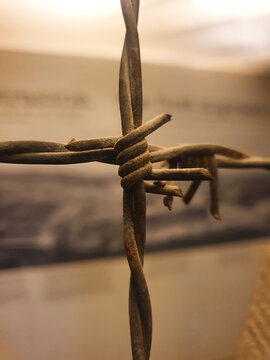 At Schindler's factory in Poland, barbed wire fences separate environments, protecting frames with photographs of Jews. One of the intertwined wires forms a wire cross.