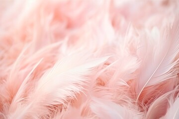 Rustling feathers texture background, soft and delicate feathered surface, ethereal and light backdrop, graceful and airy