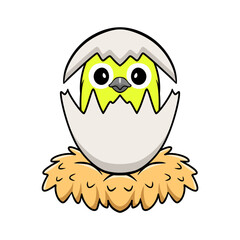 Cute warbling white eye bird cartoon inside from egg