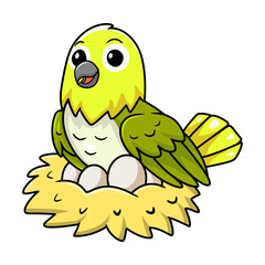 Cute warbling white eye bird cartoon with eggs in the nest
