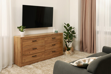 Cozy room interior with chest of drawers, TV set, sofa and decor elements