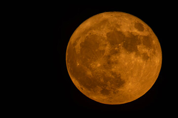 Obraz premium Beautiful Supermoon