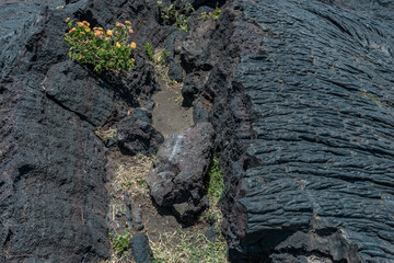 Hōlei Sea Arch. Chain of Craters Road, Hawaii Volcanoes National Park. Pahoehoe  Lava. volcanic rock