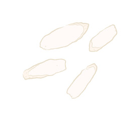 Dried slices of yam for soup or Chinese medicine in ingredient illustration