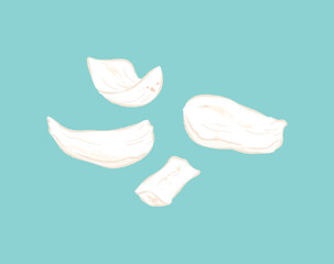 Dried lily bulb in ingredients illustration