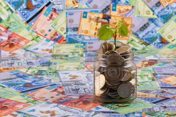 A young sprout with green leaves in a glass jar with coins in denominations of 100 and 200 Kazakh tenge against the background of Kazakh banknotes