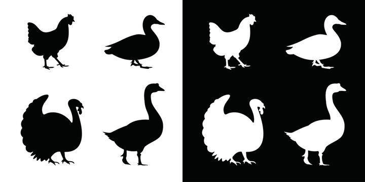 Logo template of chicken farm, turkey farm, duck farm, goose farm. goose, duck, turkey, chicken symbol in black and white colors.