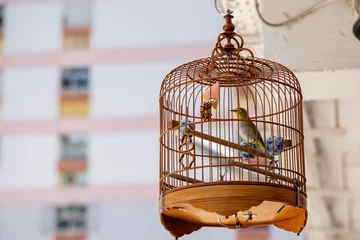 Outdoor-Kissen Bird in inside the bird cage © leungchopan