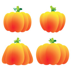 The pumpkin for Thanksgiving day concept