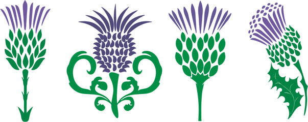 Milk thistle (Silybum marianum). Thistle burdock  set, Scottish flower. Blossom plant. Editable vector,Easy to reuse in designing. eps 10. - obrazy, fototapety, plakaty