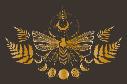 golden moth art with moons and fern leaves clip art preview