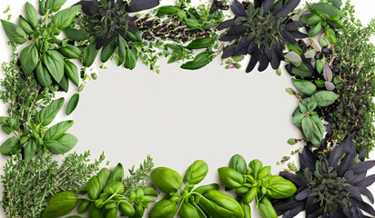 Herbaceous Mediterranean Border Aromatic Basil, Thyme, Oregano, Rosemary, and Sage with Green and Black Pepper, green leaves frame