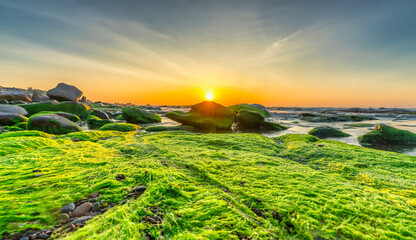 Rocky beach and green moss in sunrise sky at a beautiful beach in central Vietnam. Seascape of Vietnam Strange rocks.