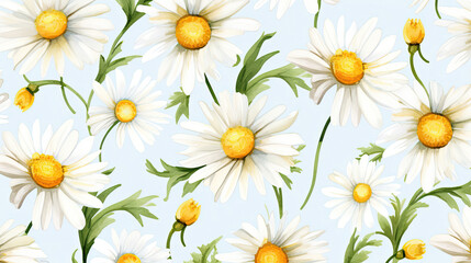 daisy flowers blossom nature white flower
