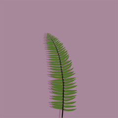 fern leaf vector illustration on purple background 