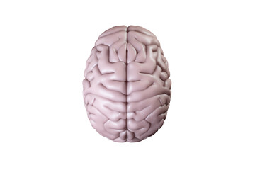 Digital png illustration of pink human brain on transparent background
