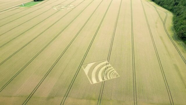 Aerial view circling geometric wave crop square pattern in Micheldever, Hampshire farmland 2023