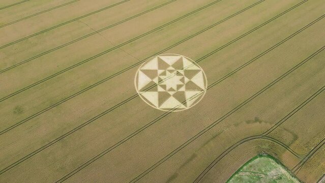 Aerial view rising back from Micheldever 2023 crop circle shaped into golden Hampshire agricultural wheat field