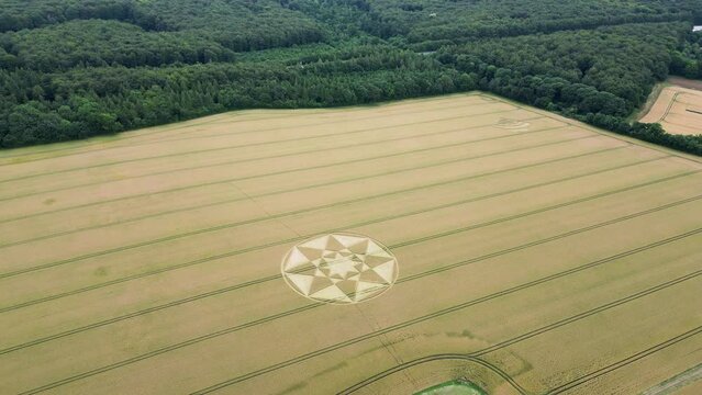 Aerial view orbiting Micheldever 2023 crop circle formed into rural Hampshire agricultural farmland